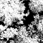 ガラス目隠し日よけに森のデザインフィルム