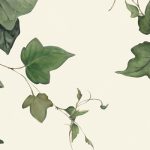 アイビーのガラスシール、ステッカー