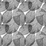 葉脈のガラスフィルムデザイン