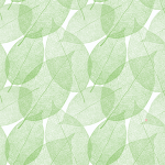 葉脈のパターンガラスフィルム