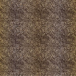 MA-0026   Leopard