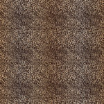 MA-0026   Leopard