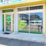 鮮やかな木々の緑