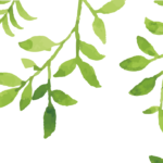 MN-008   Green Leaves