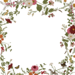 花柄　ガラス　シール　目隠し　日除け