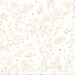 MF-0004 Astronomical -アストロノミカル-