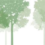 MN-0015 Healing Forest