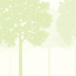 MN-0015 Healing Forest