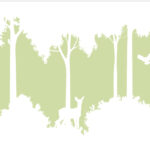 MPO-0004 秘密の動物の森