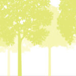 MN-0015 Healing Forest