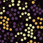 MN-0021 ナナカマドのおまじない