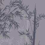 MJ-0019 竹笹の陰影