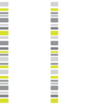 MST-0004 ノスタルジック・ボーダー