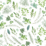 MN-0025 ハーブボタニカル