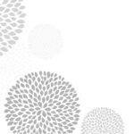 MJ-0023 クリサンシマム