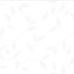 MN-0027 ウォールプランツ