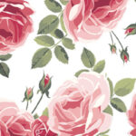 MA-0038 The dance of rings