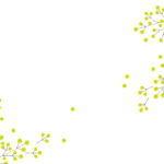 MN-0037 ベアフェイバリット