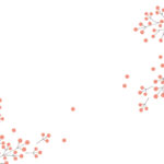 MN-0037 ベアフェイバリット