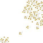 MN-0037 ベアフェイバリット