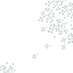 MN-0037 ベアフェイバリット