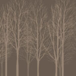 MN-0035 群れる白樺