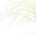 MN-0036 Artistic trees