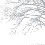 MN-0036 Artistic trees