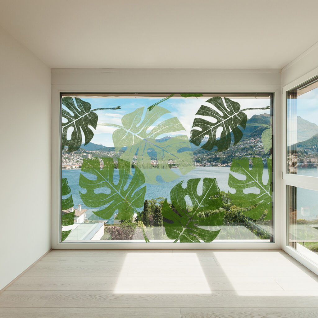 大きなモンステラの葉のガラスフィルム