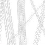 タイヤの跡のガラスフィルム