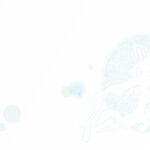 クラゲのガラスフィルム