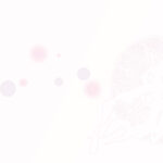 クラゲのガラスフィルム