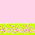 北欧の花畑をイメージしたガラスフィルム