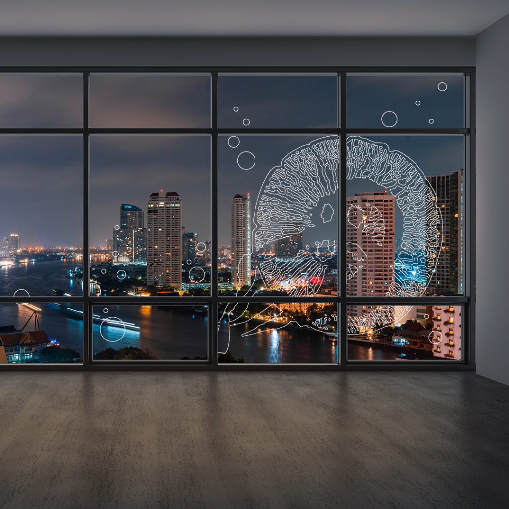 クラゲのガラスフィルム