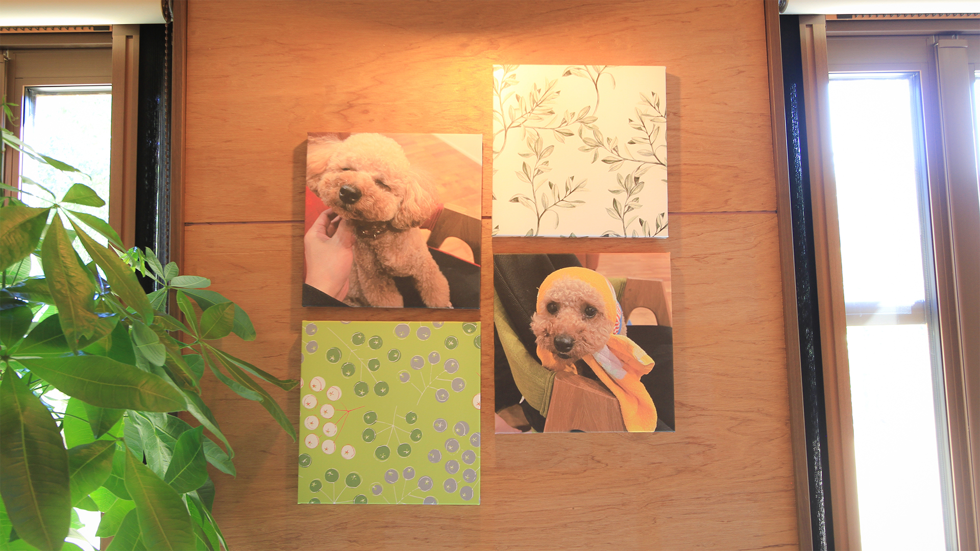 犬写真 オリジナルクロスボード