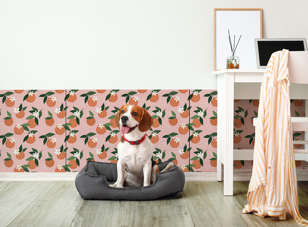 オレンジ ひっかき防止パネル