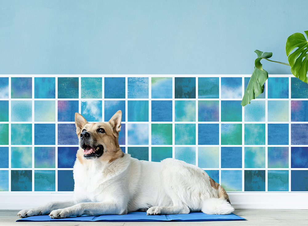 青系 ひっかき防止シート