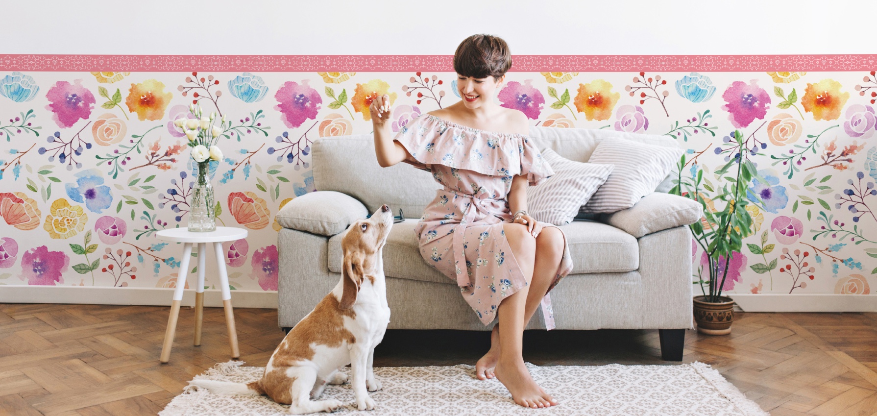 ひっかき防止シート