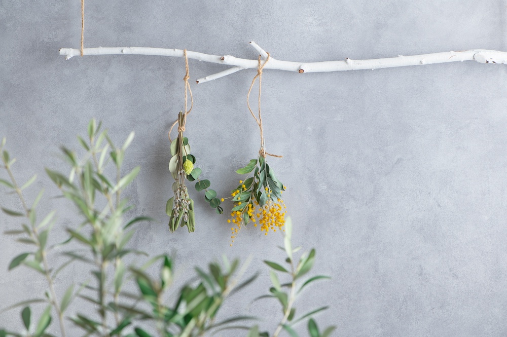 植物のモチーフ