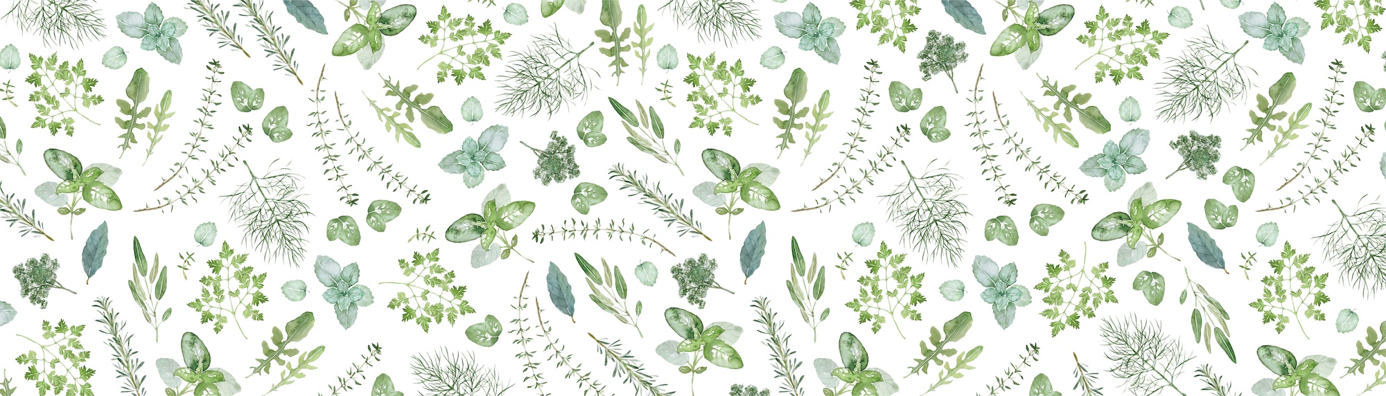 ハーブボタニカル