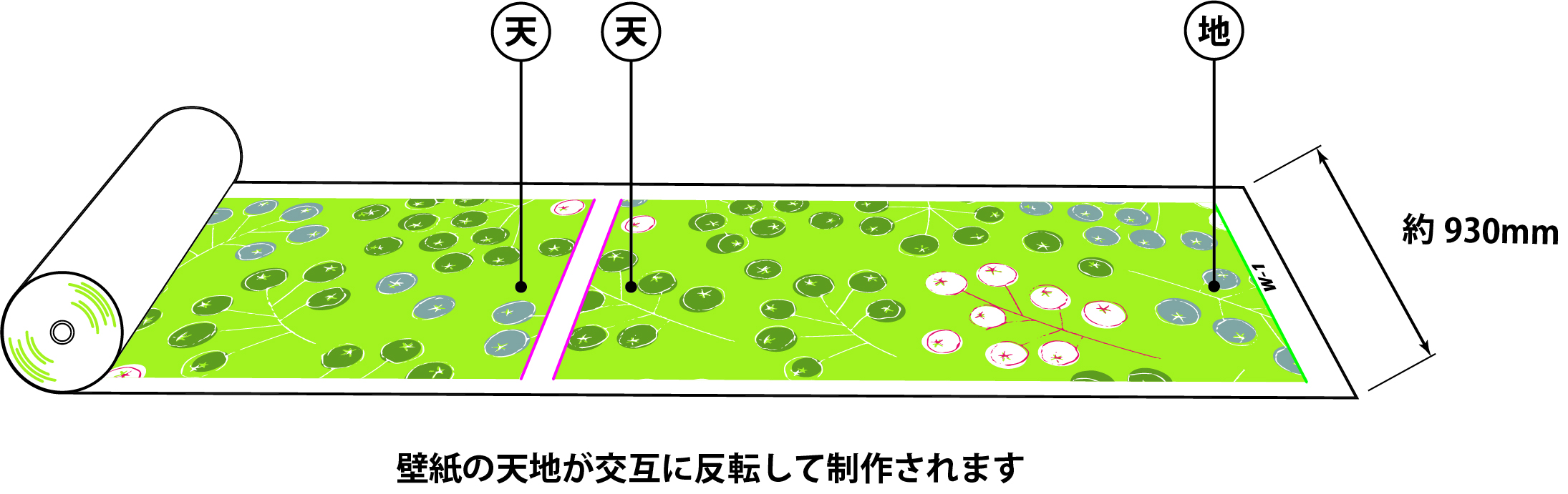 ロール状イメージ