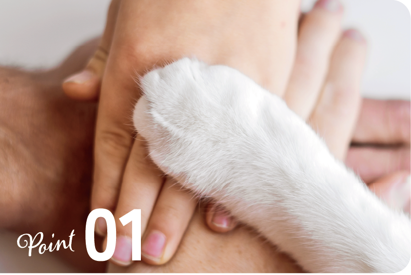 Point1 人と犬の手