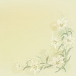 百合の花の壁紙,百合の壁紙クロス