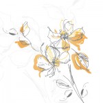 花の線画,花の壁紙