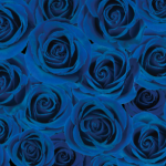 青いバラの壁紙