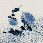 藍色の菊のデザイン壁紙