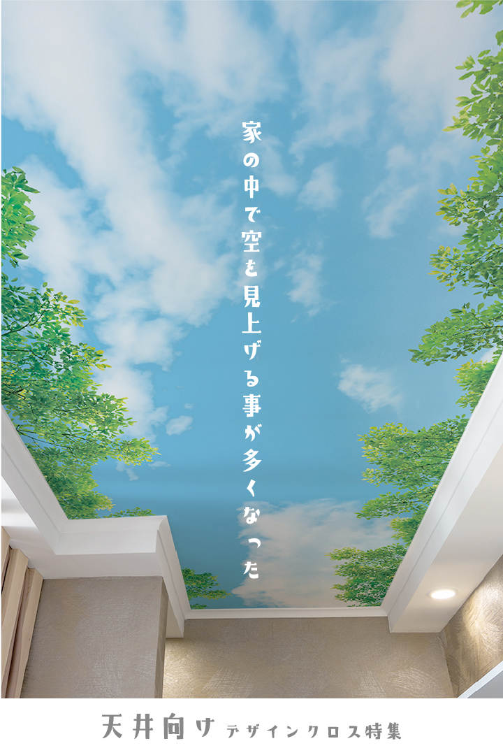 天井向けデザイン特集