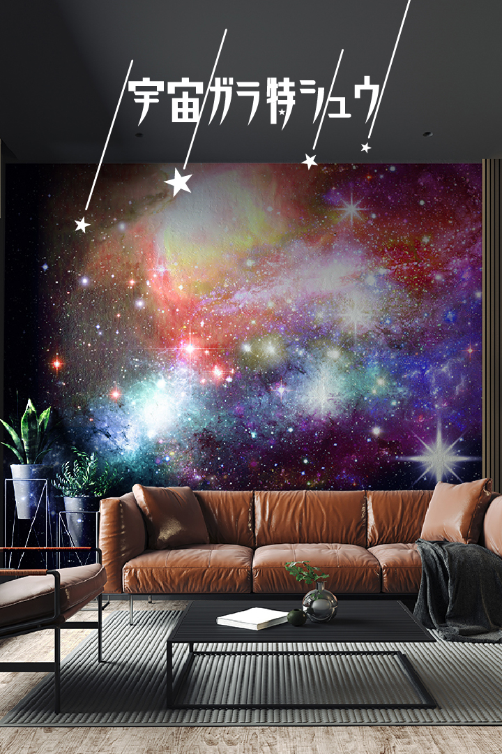 宇宙柄特集