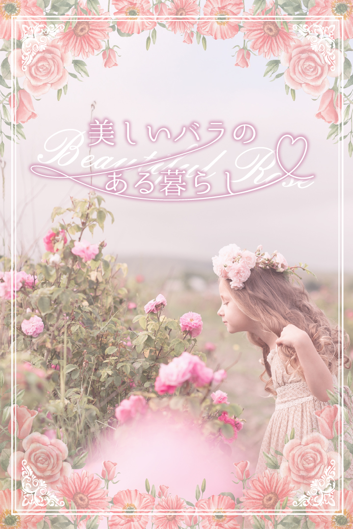 ピンクの薔薇 女の子