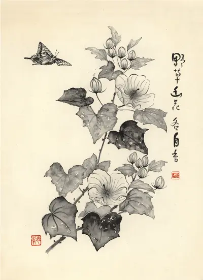 華鳳蝶